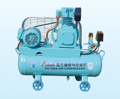 ZW-0.05-8 type oil free air compressor
