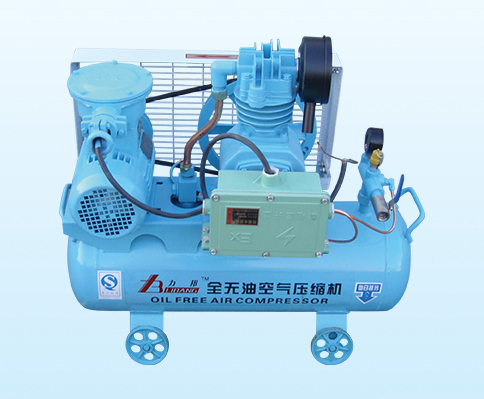ZW-0.05-8 Explosion-proof oil-free air compressor